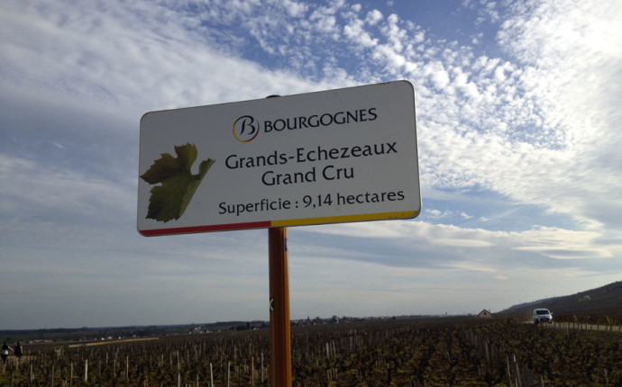 Les Grands Jours de Bourgogne 2016 – Immersi totalmente nel Pinot Nero