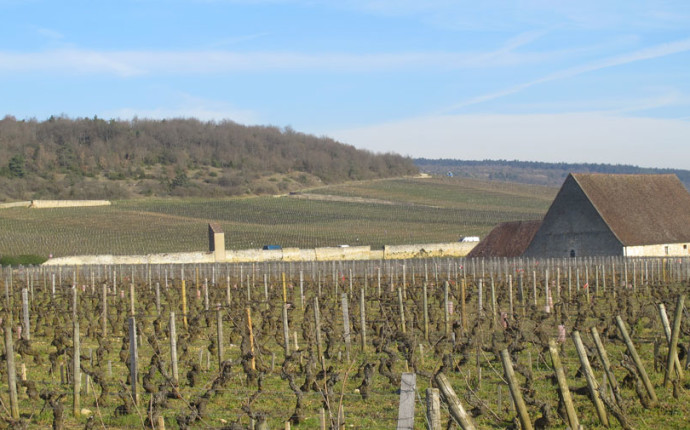 Les Grands Jours de Bourgogne 2016 – Immersi totalmente nel Pinot Nero