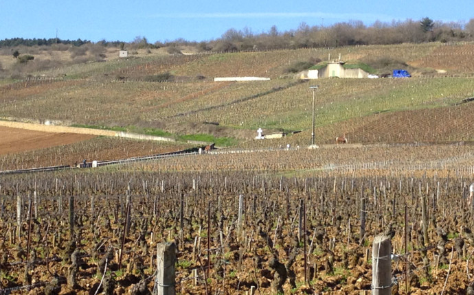 Les Grands Jours de Bourgogne 2016 – Immersi totalmente nel Pinot Nero