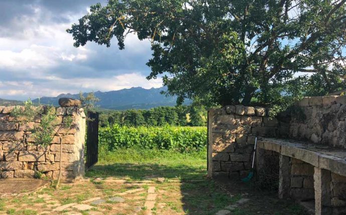 Slow Wine 2019 – 13 ottobre a Montecatini Terme